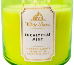 White Barn Eucalyptus Mint Candle 411G