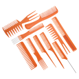 Burmax Gold Magic 10 Pieces Bone Comb Set in Roll Up Case