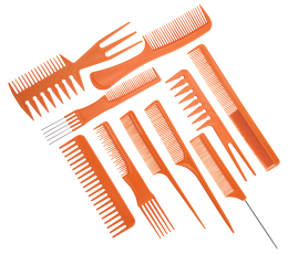 Burmax Gold Magic 10 Pieces Bone Comb Set in Roll Up Case