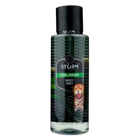 Storm For Men Cool Jaguar Body Mist 250ml